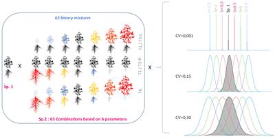 Impact of intraspecific genetic variation on interspecific competition: a theoretical case study of forage binary mixtures